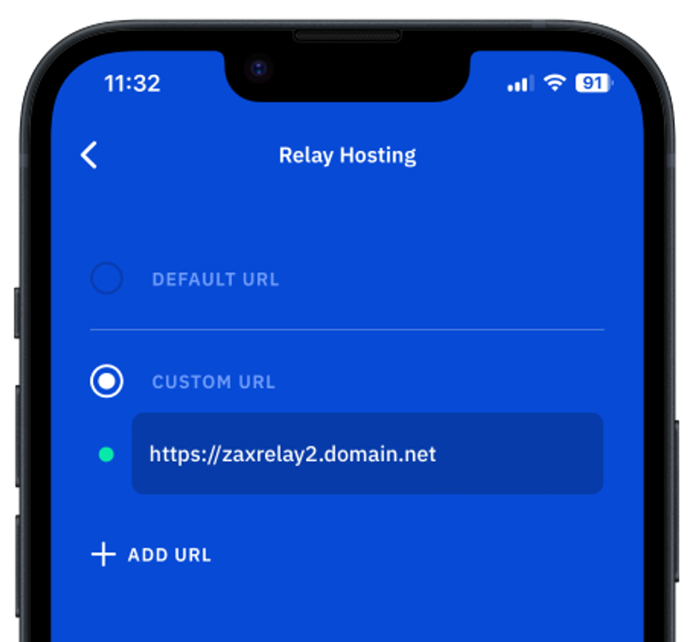 Image of Vault Relay hosting settings screen with custom URL for Zax relay
