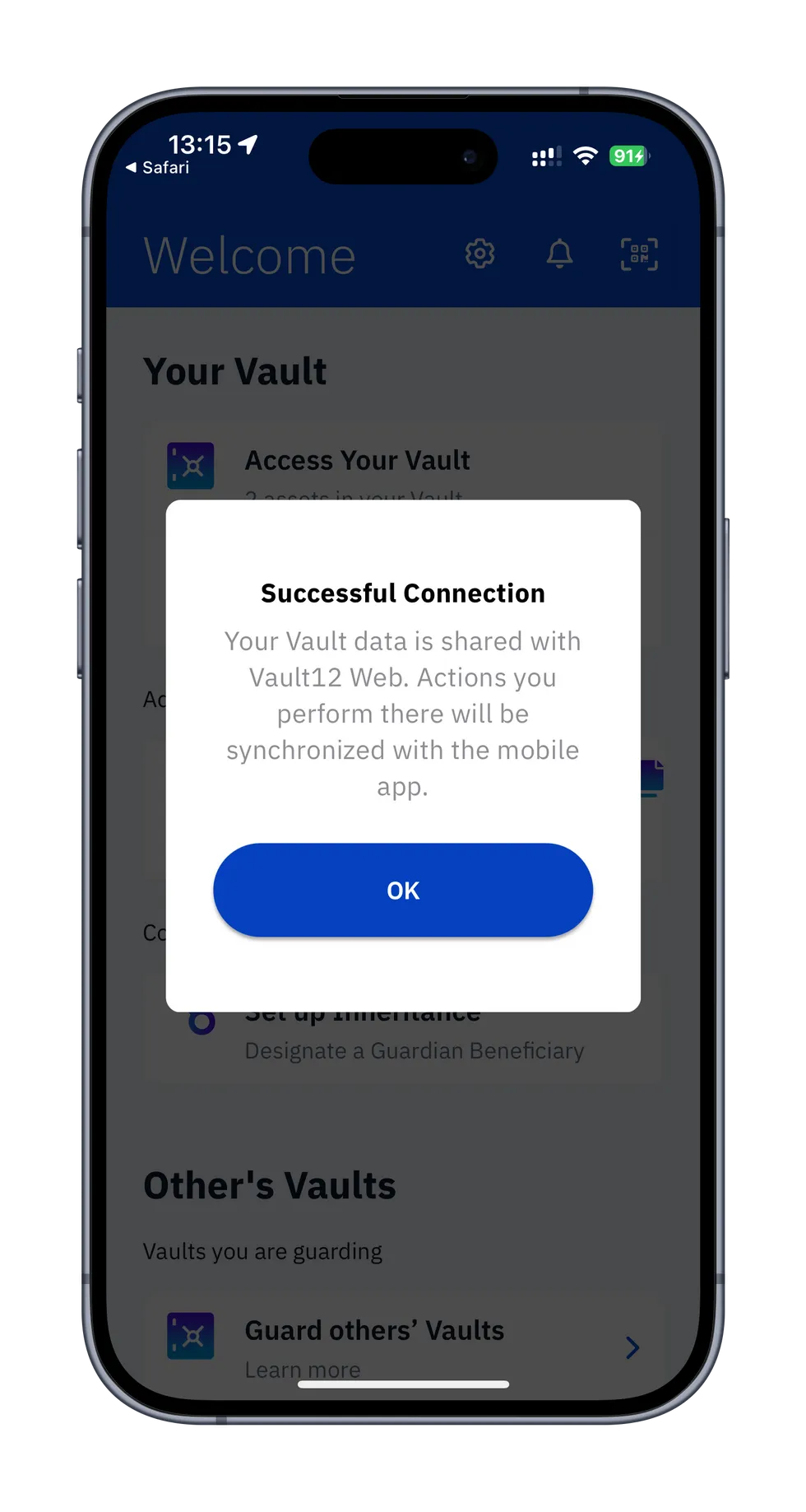 Screen showing successful connection