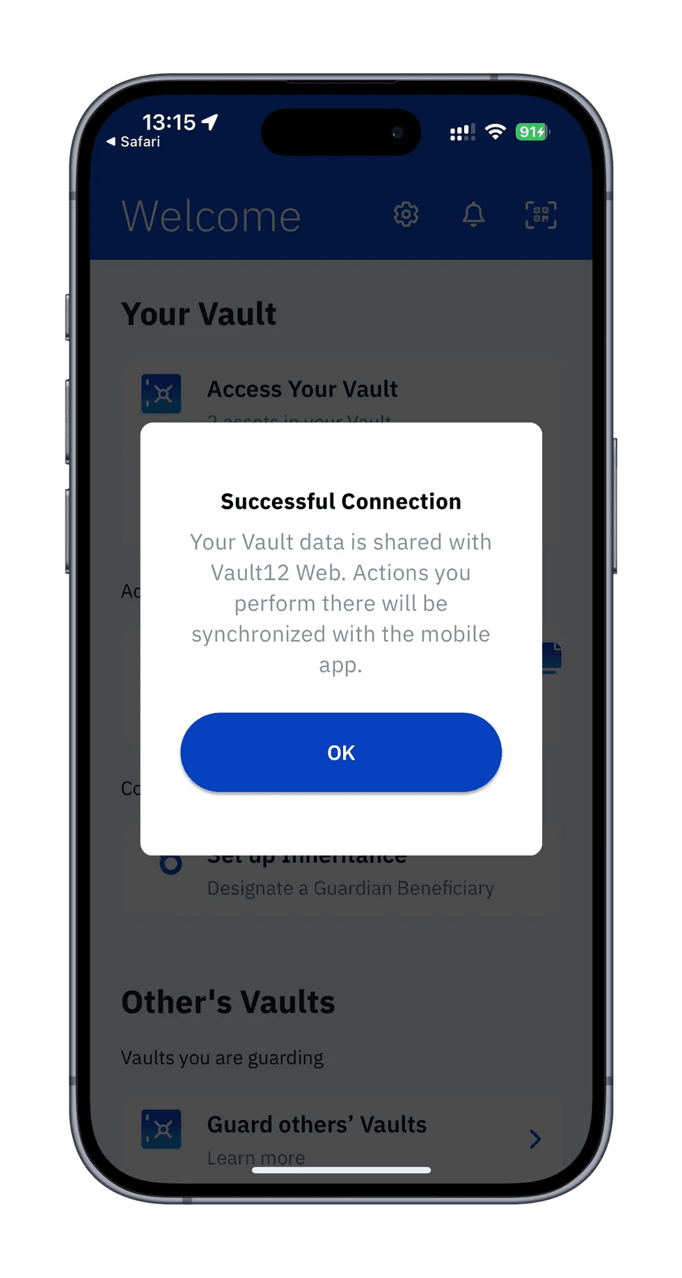 Screen showing successful connection