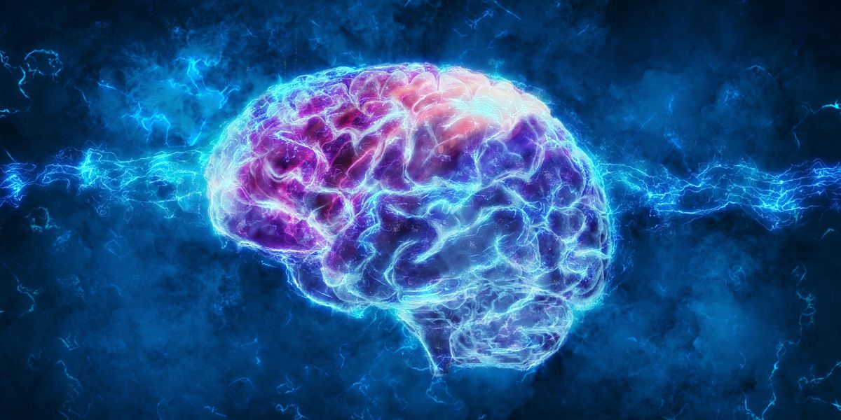 Brain with digital connections