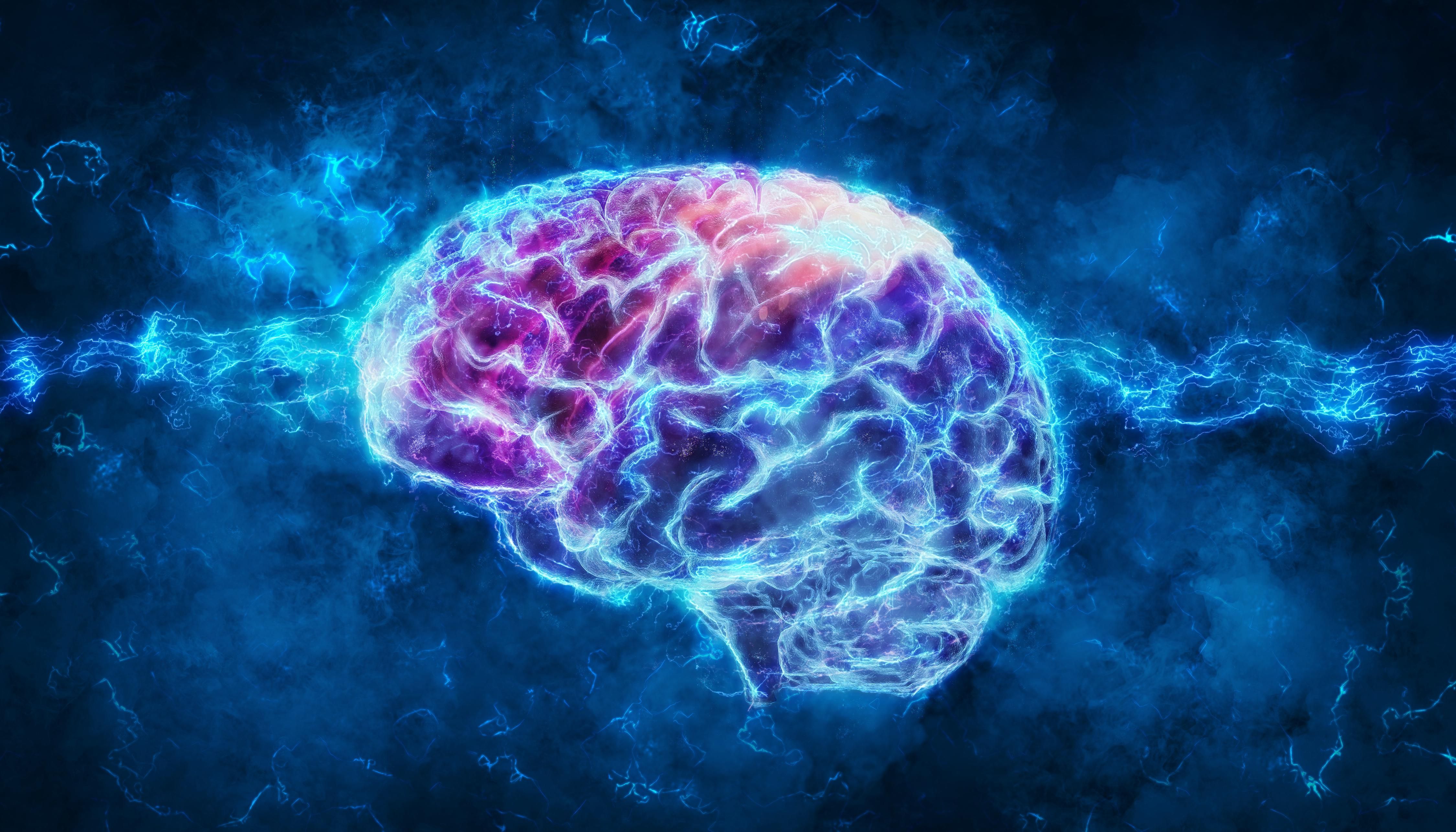 Brain with digital connections