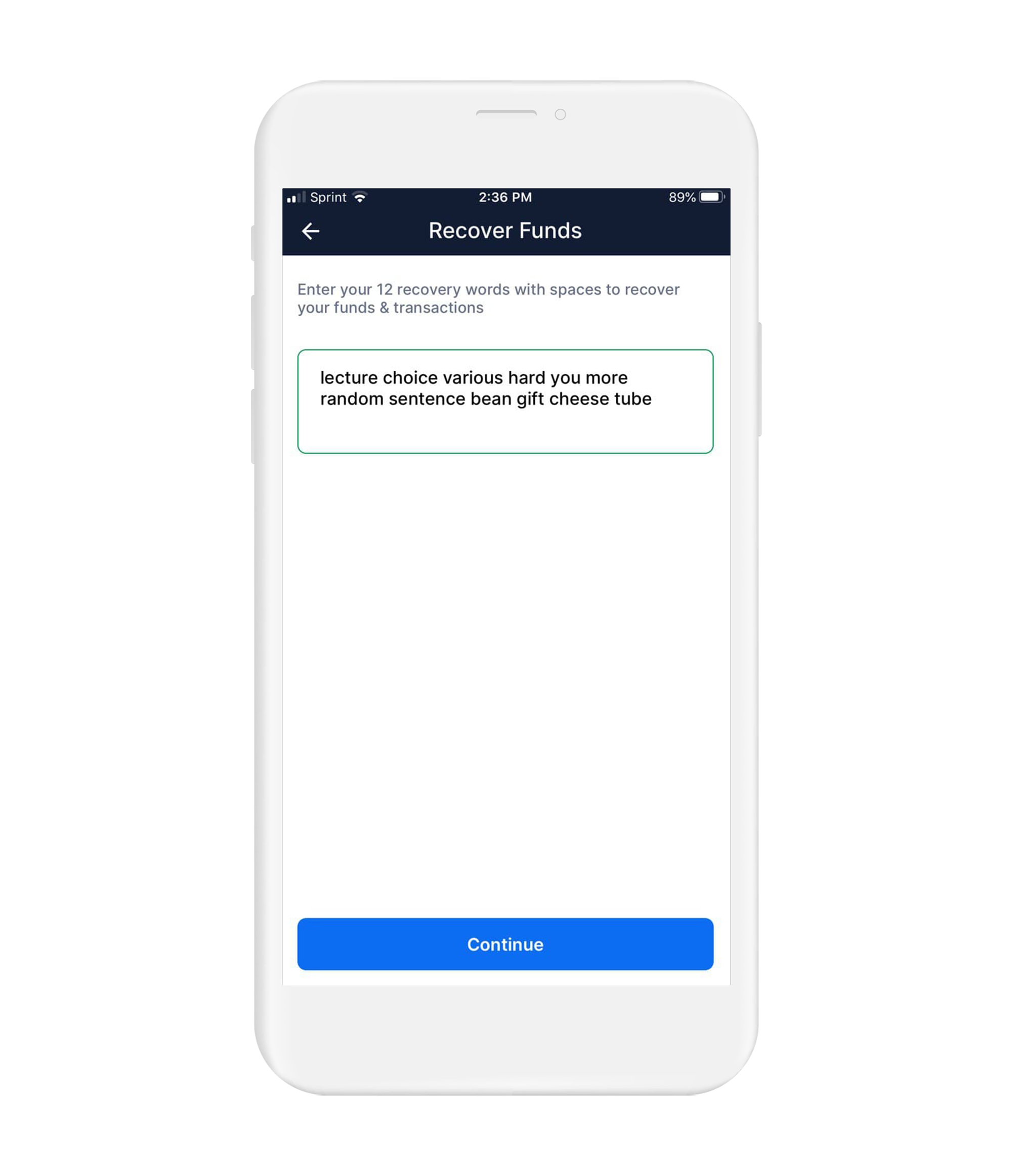 How To Secure Blockchain Com On Ios Vault12