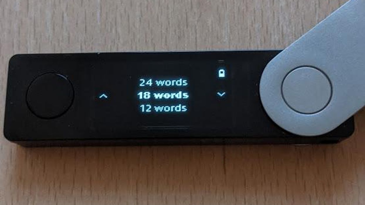 Ledger Nano X number of words options