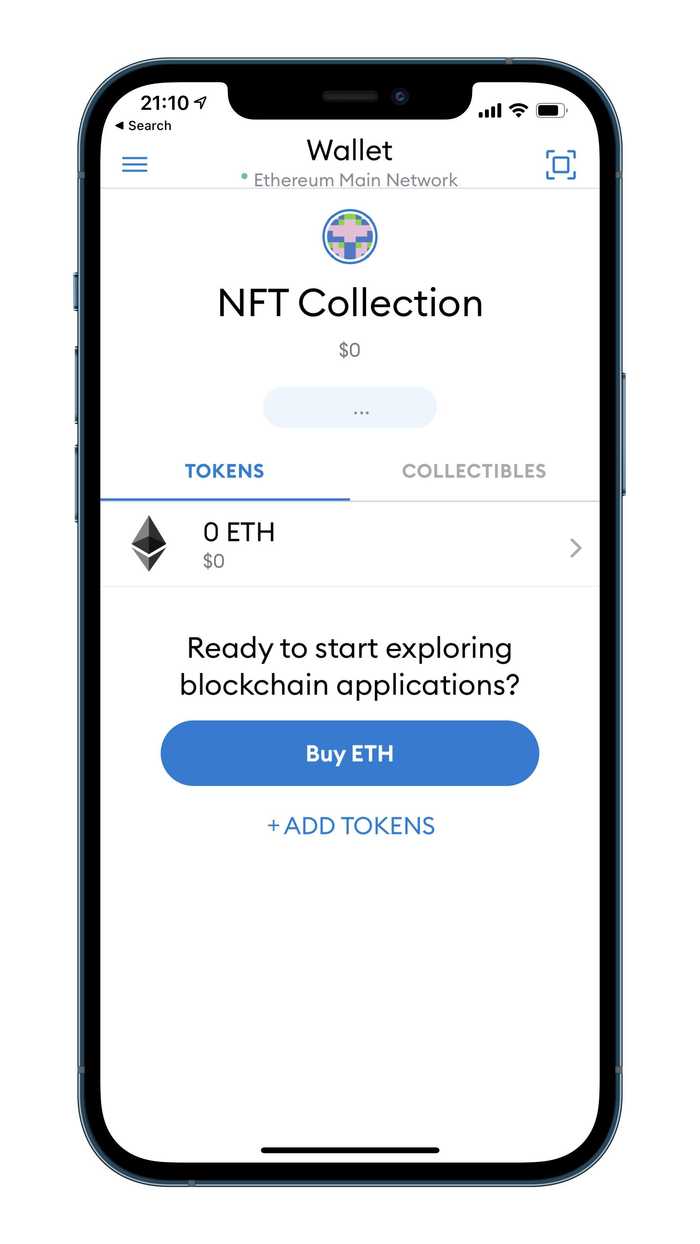 Image of an NFT Metamask wallet