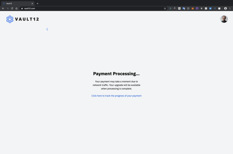 Image showing "Payment Processing"