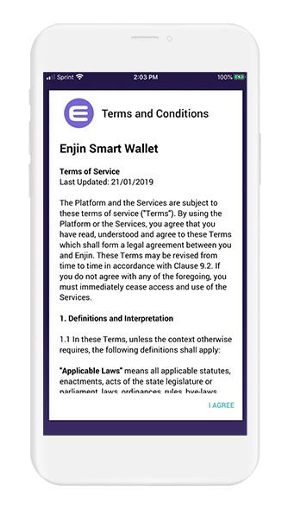 terms-conditions