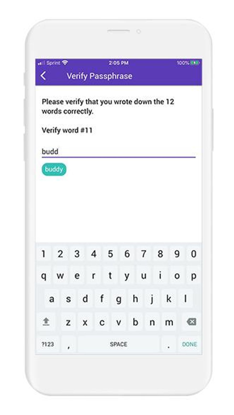set-passphrase