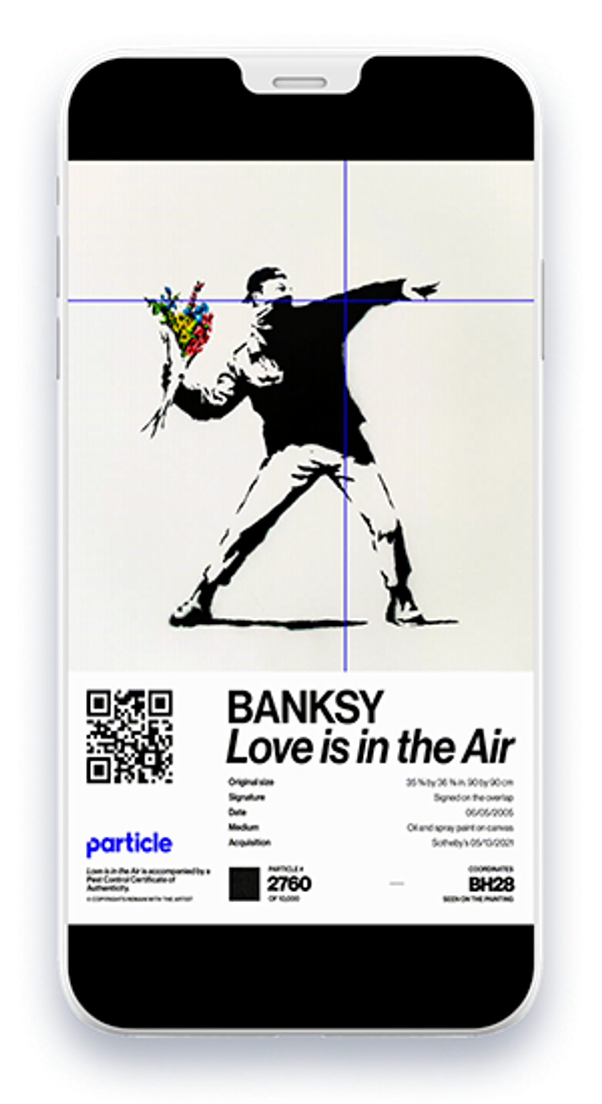 Screenshot of Banksy Love is in the Air NFT from Particle Collection in Digital Vault