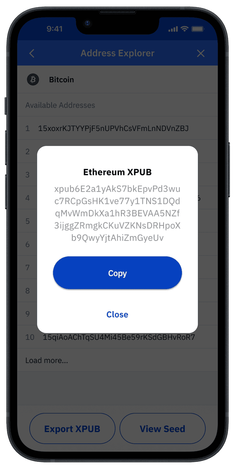 xPub Watch-Only: Monitor Your Crypto Wallets Securely in Vault12 - Vault12