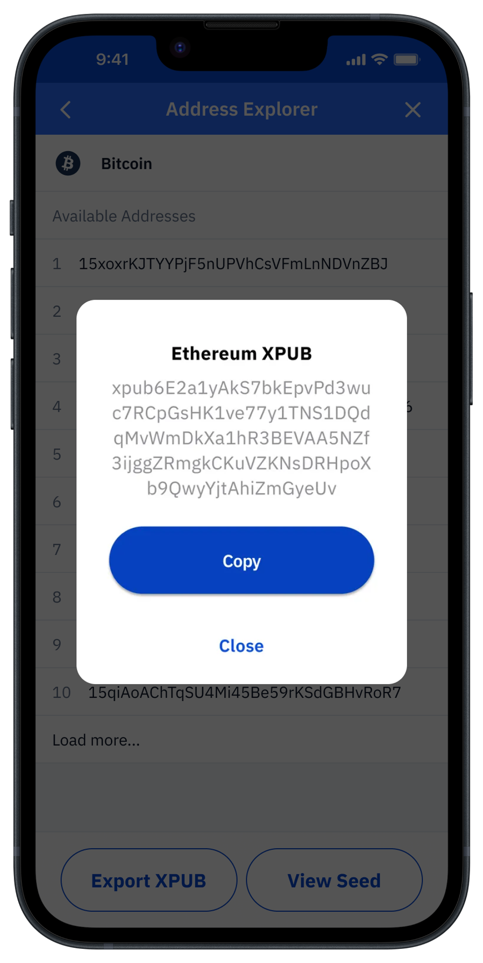 Screenshot of an xPub ready to be copied